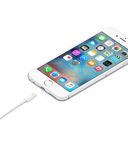 Apple Lightning naar USB-A kabel - 1 meter