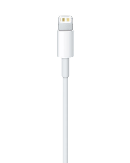 Apple Lightning naar USB-A kabel - 1 meter