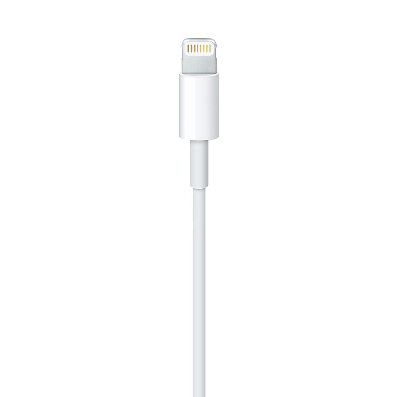 Apple Lightning naar USB-A kabel - 1 meter