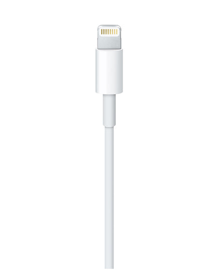 Apple Lightning naar USB-A kabel - 2 meter